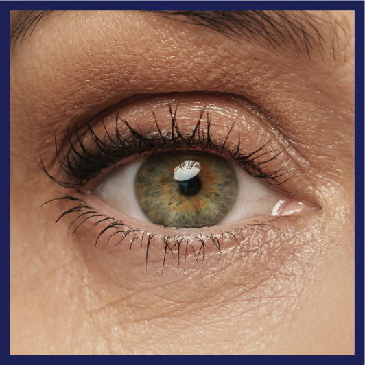 A close up of an eye.