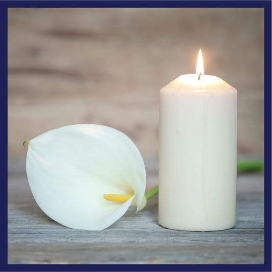An arum lily and a candle.
