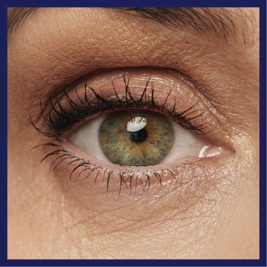A close up of an eye.